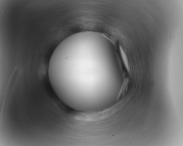 X0000089860033200707191928