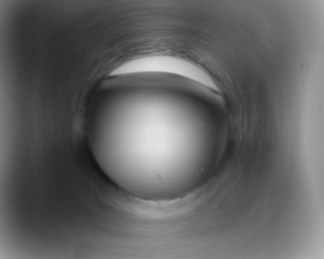 X0000089860035200707191928