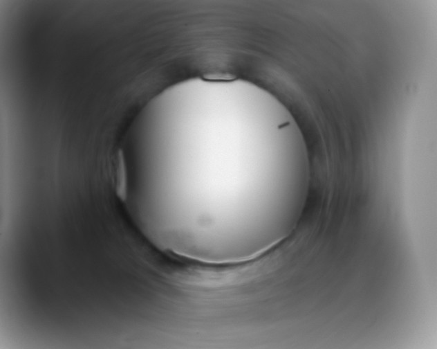 X0000089860037200707191928