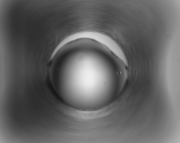 X0000089860039200707191928