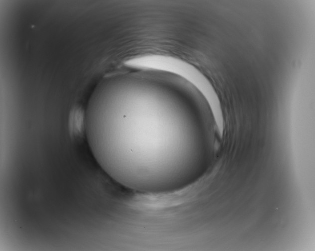 X0000089860041200707191928