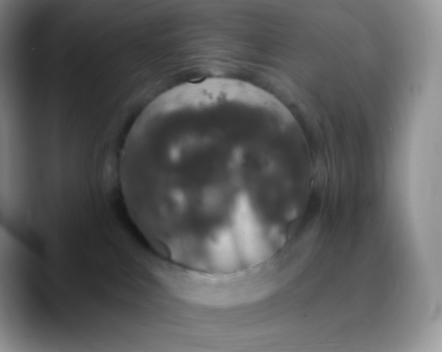 X0000089860043200707191928