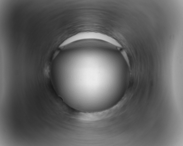 X0000089860045200707191928