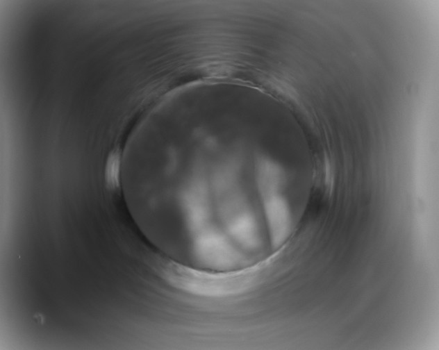 X0000089860047200707191928