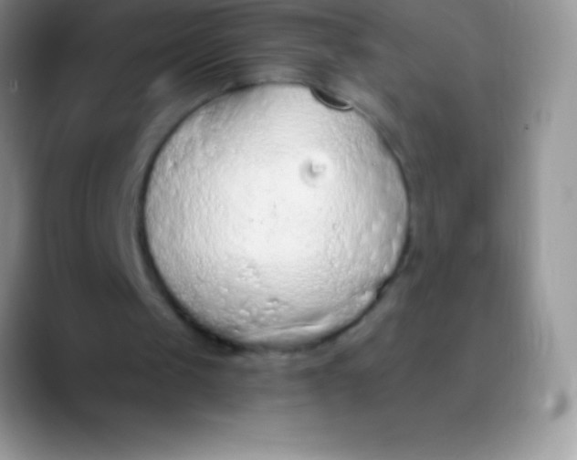 X0000089860049200707191928