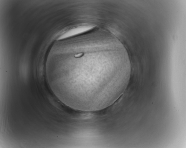 X0000089860050200707191928