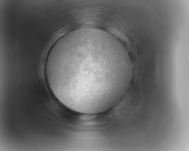 X0000089860051200707191928