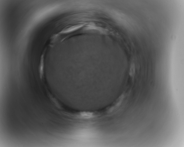 X0000089860052200707191928