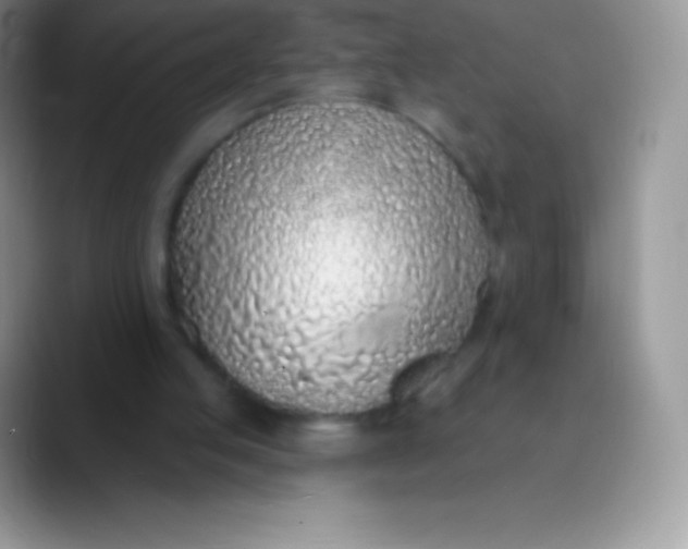 X0000089860053200707191928