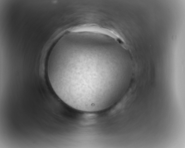 X0000089860055200707191928