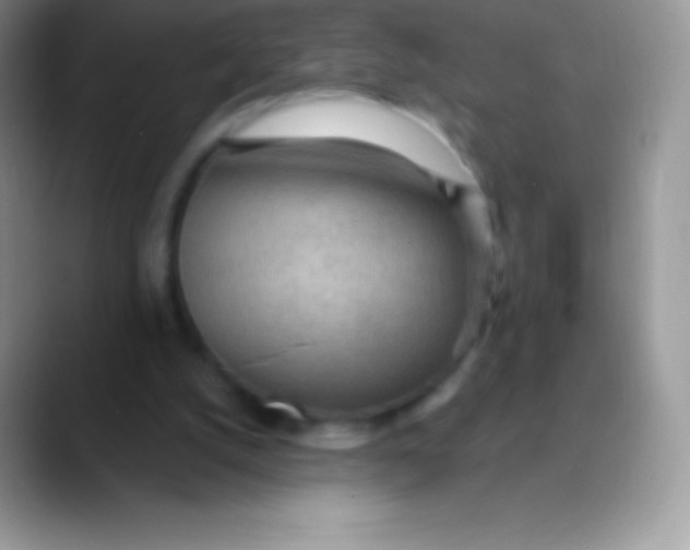 X0000089860056200707191928