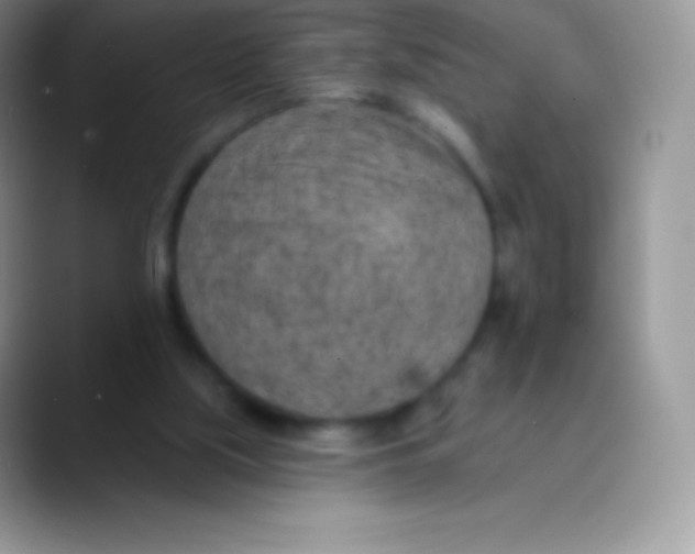 X0000089860059200707191928