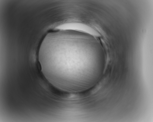 X0000089860060200707191928