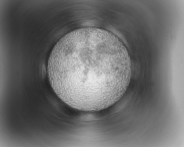 X0000089860061200707191928