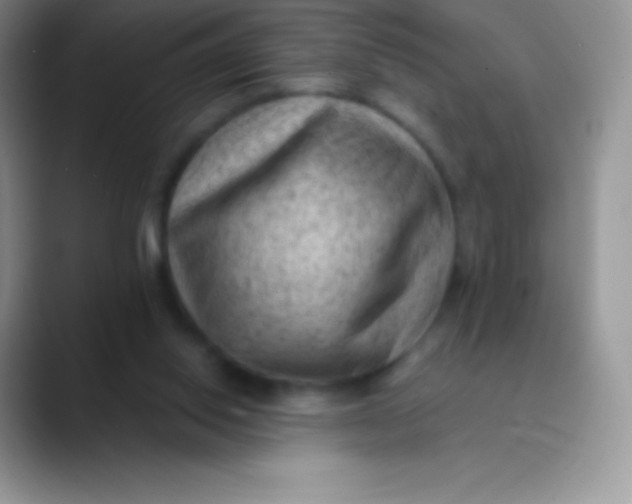 X0000089860062200707191928