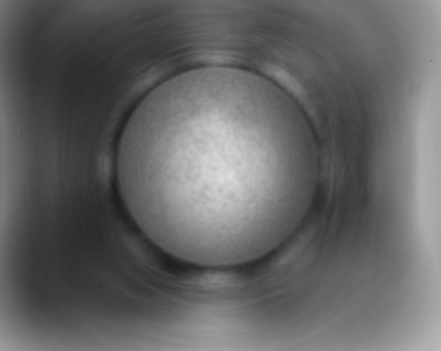 X0000089860063200707191928