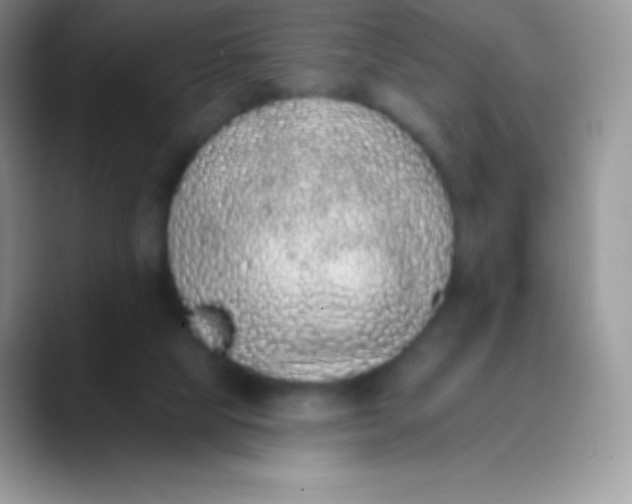 X0000089860065200707191928