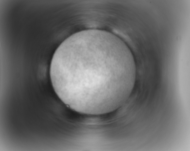 X0000089860066200707191928