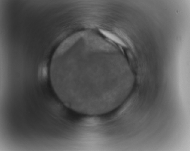 X0000089860067200707191928