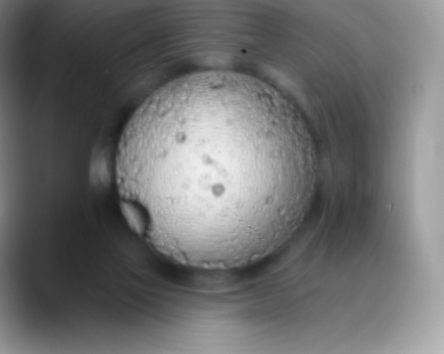 X0000089860069200707191928