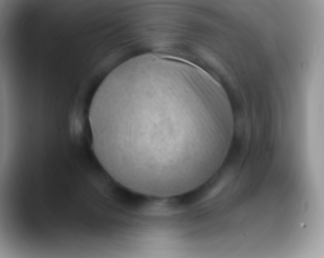 X0000089860072200707191928