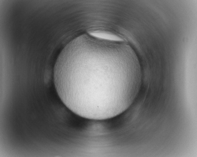 X0000089860073200707191928