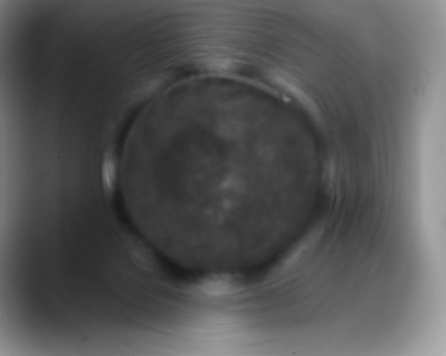 X0000089860076200707191928