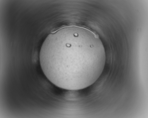 X0000089860077200707191928