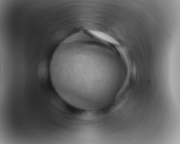 X0000089860080200707191928