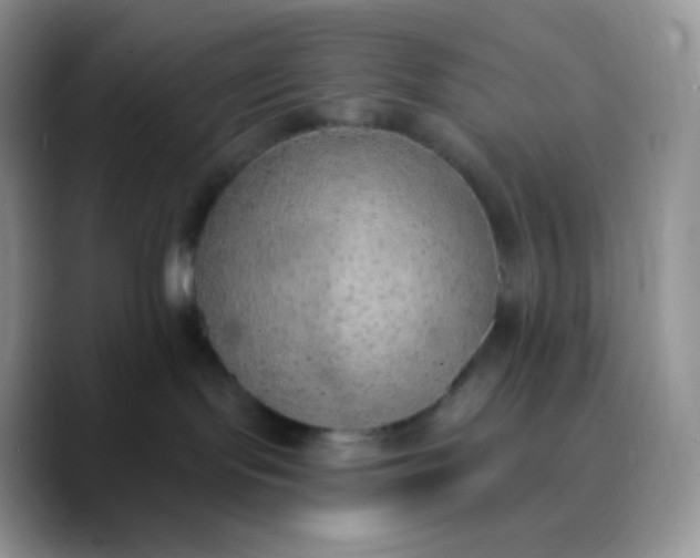 X0000089860095200707191928