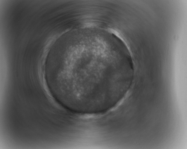 X0000089860097200707191927