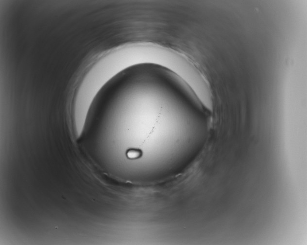 X0000089860099200707191927