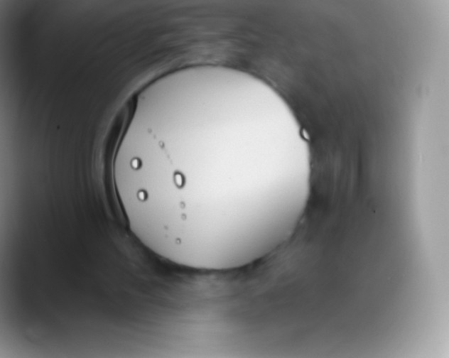 X0000089860100200707191927