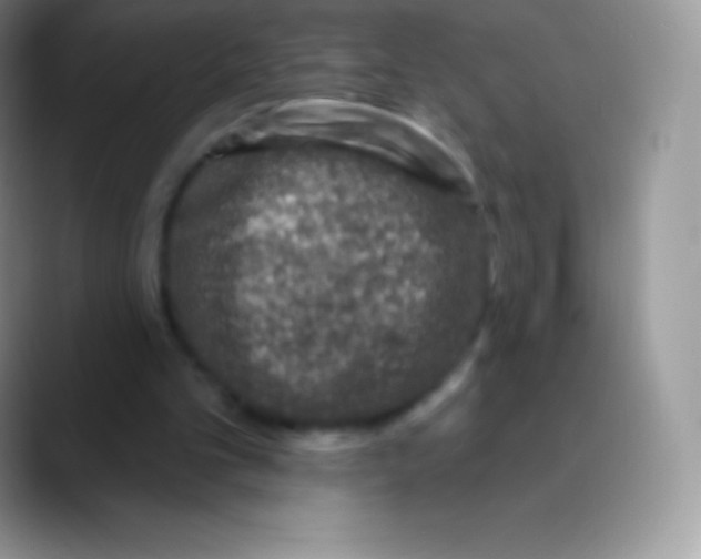 X0000089860101200707191927