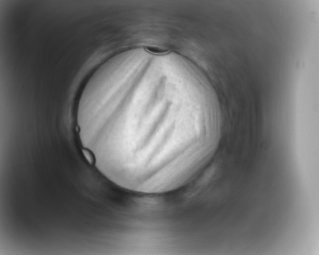 X0000089860102200707191927