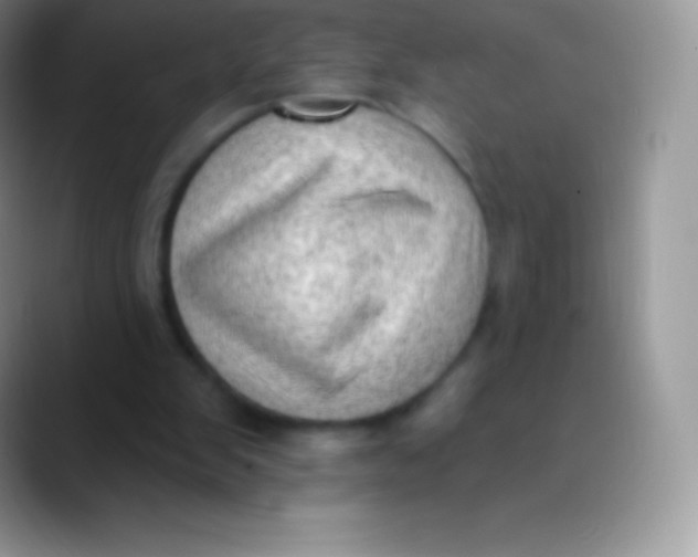 X0000089860103200707191927