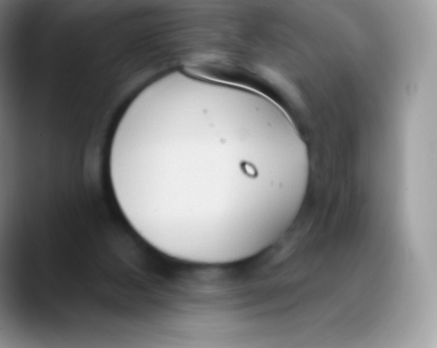 X0000089860108200707191927