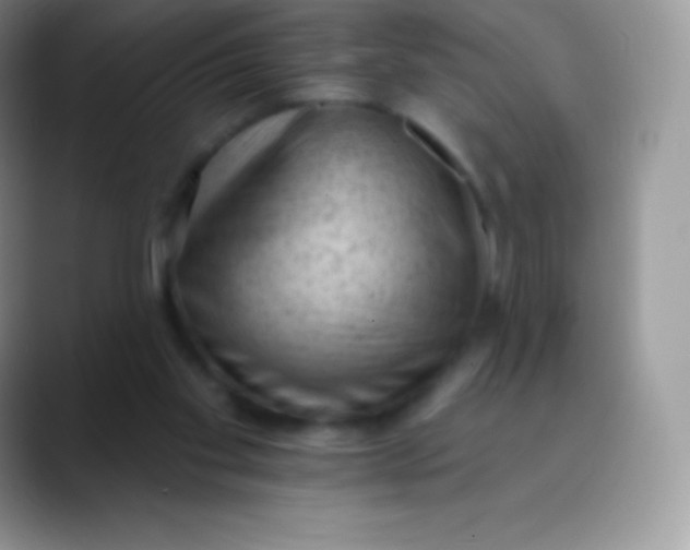 X0000089860109200707191927