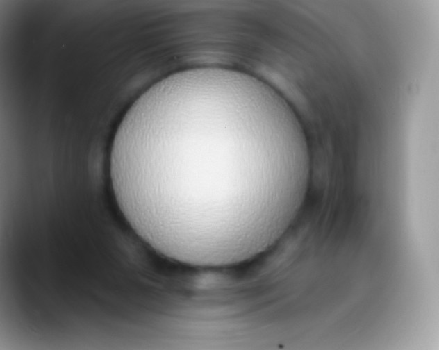 X0000089860111200707191927