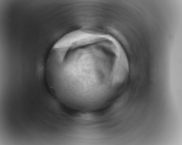 X0000089860113200707191927