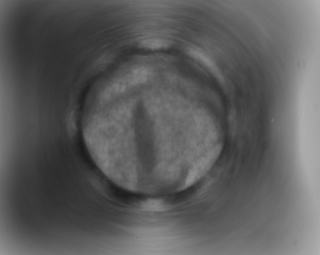 X0000089860114200707191927