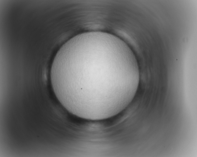 X0000089860115200707191927