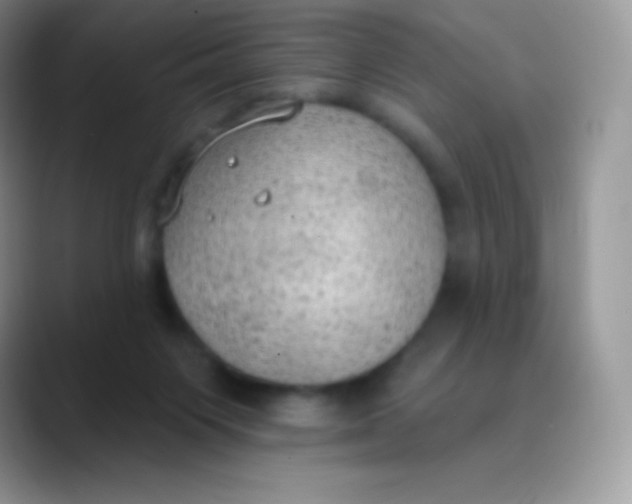 X0000089860119200707191927