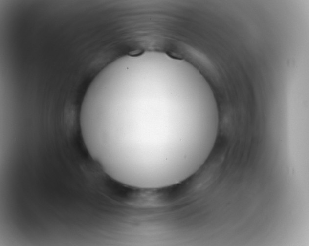 X0000089860121200707191927