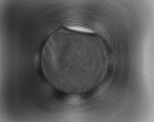 X0000089860127200707191927