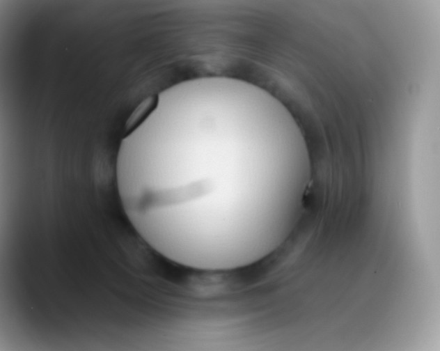 X0000089860129200707191927