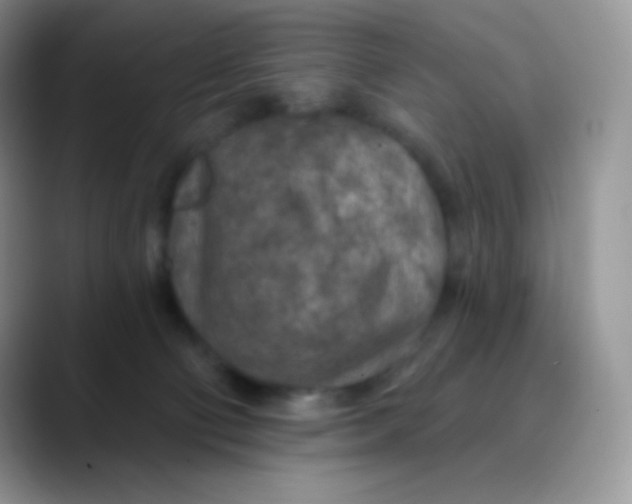 X0000089860130200707191927