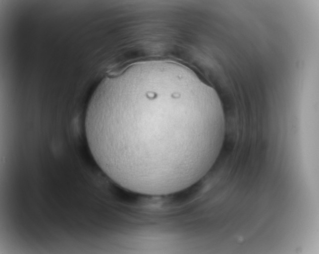 X0000089860131200707191927