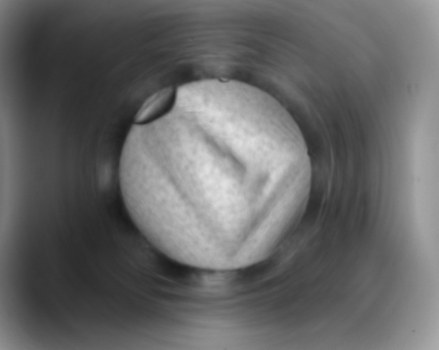 X0000089860134200707191927