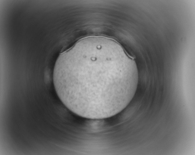 X0000089860135200707191927